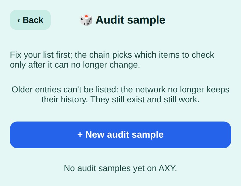 Audit sample screen with the New audit sample button